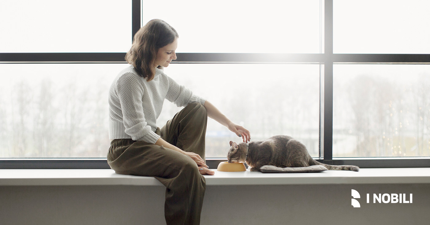 Guida rapida alla forma delle finestre: quale scegli per la tua estetica dell’abitare? - I Nobili